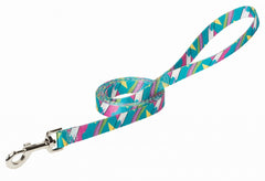 Weaver Patterened Dog Leash