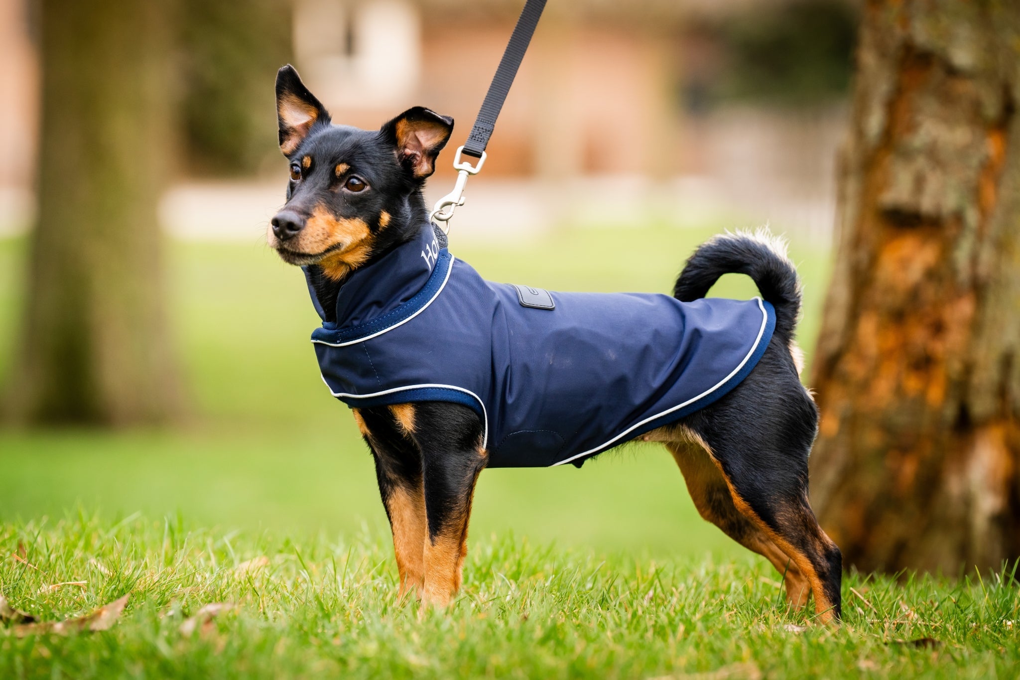 Horseware Signature Dog Rain Coat