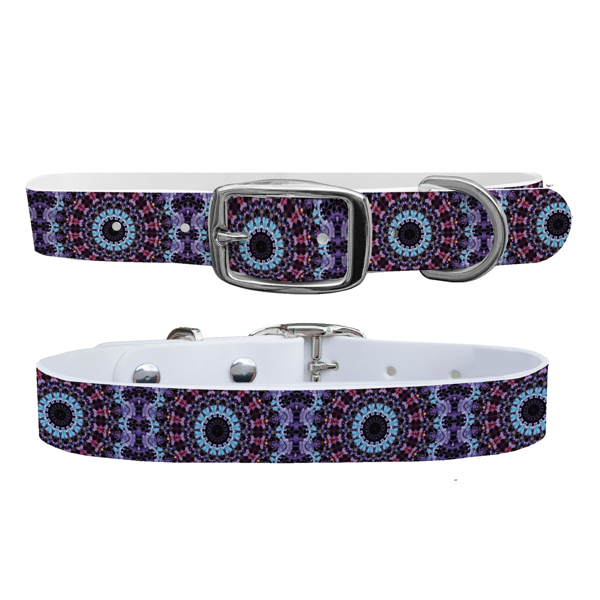 C4 Dog Collar Purple Haze Collar