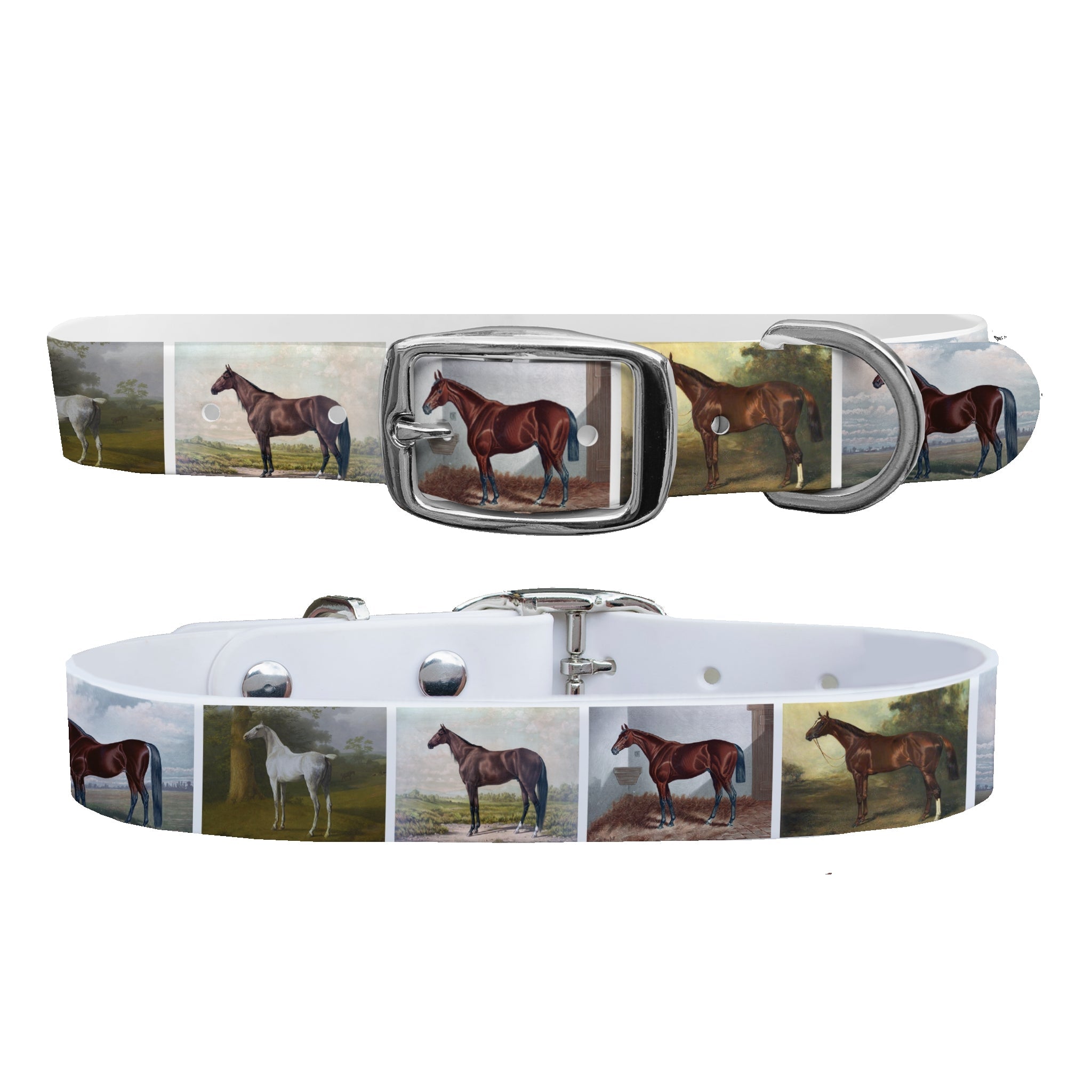 C4 Dog Collar Vintage Horses Collar