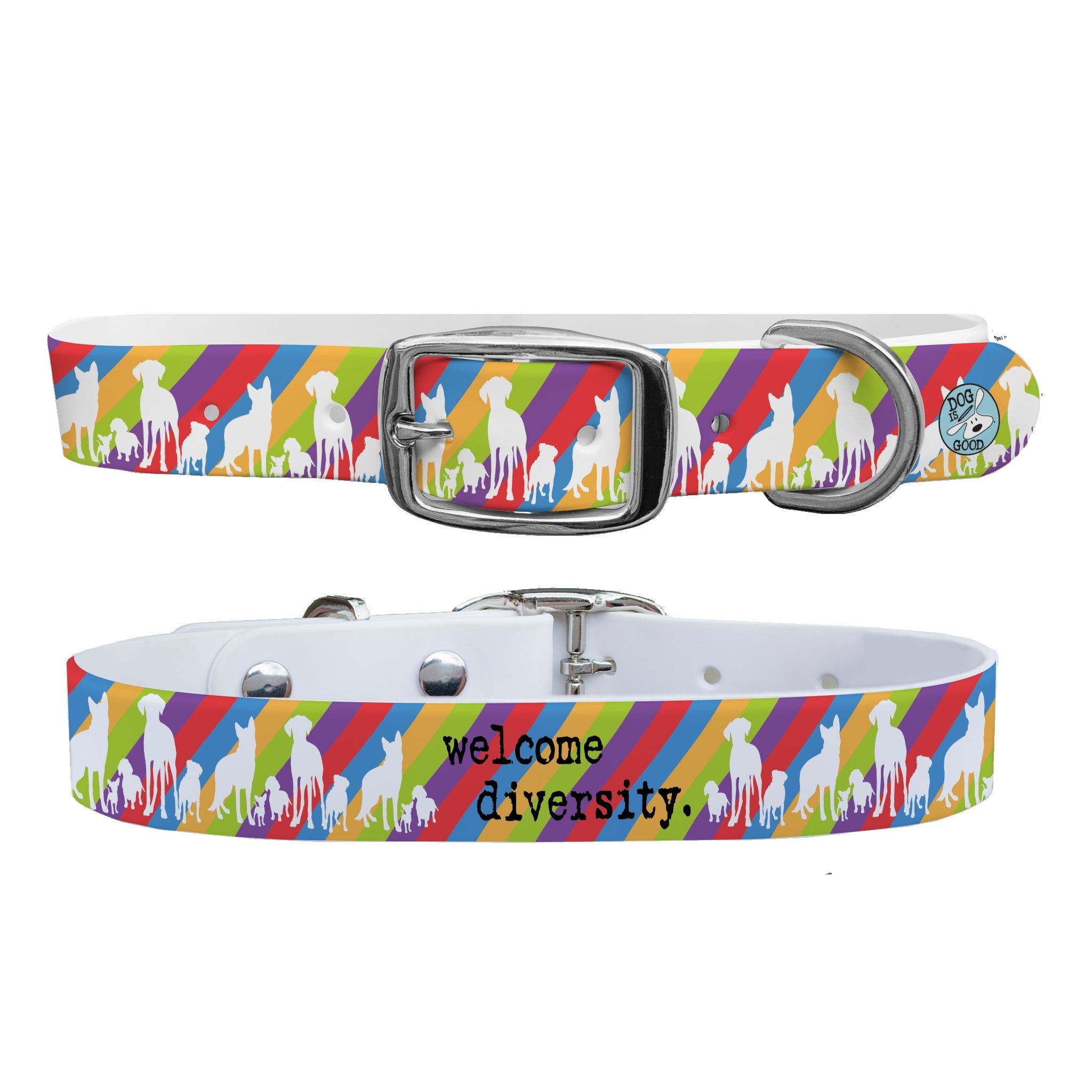 C4 Dog Collar DIG Welcome Diversity Collar