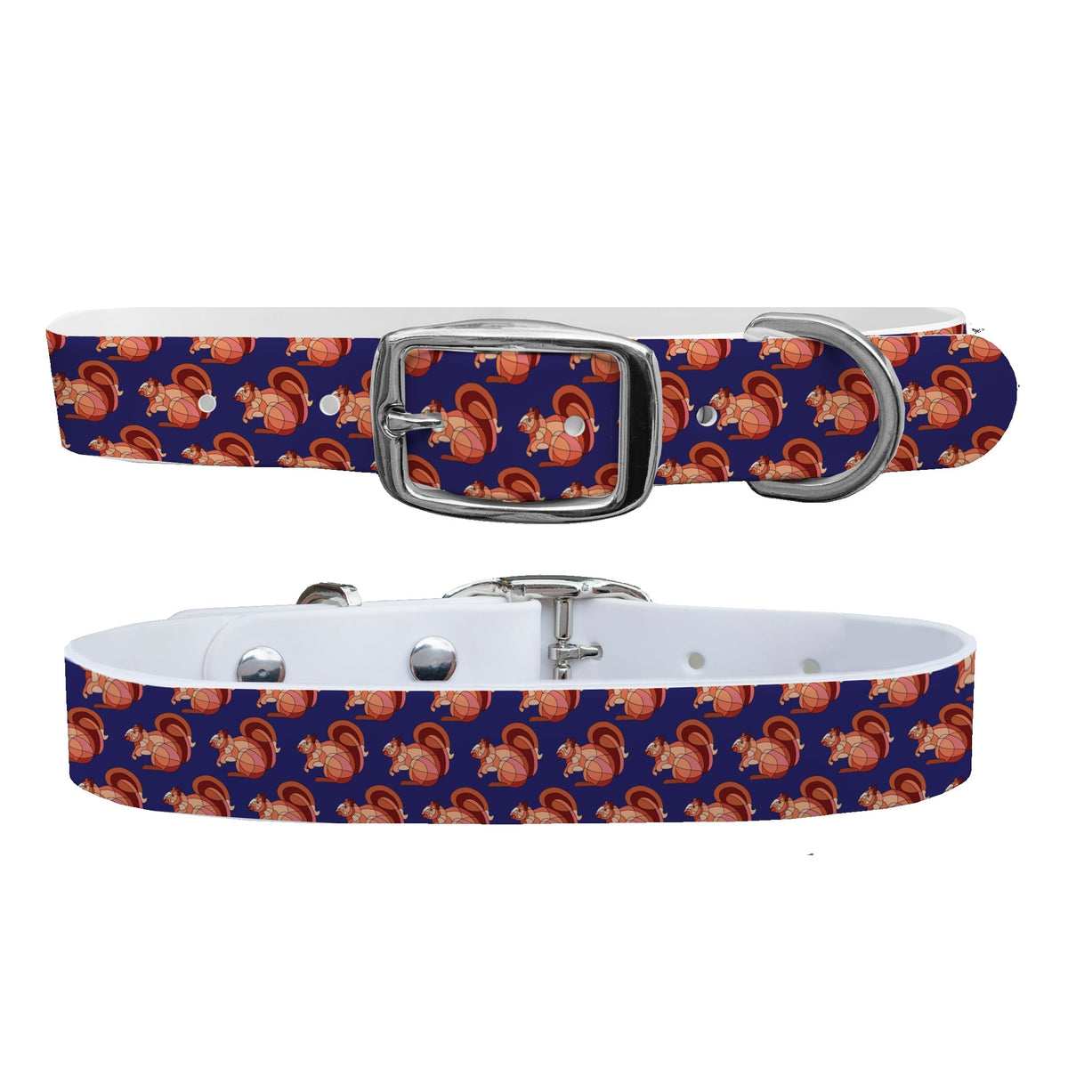 C4 Dog Collar HOTL Squirrels Collar