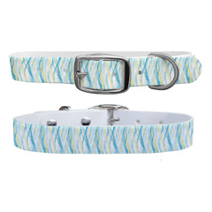 C4 Dog Collar San Soleil Monterey Turquoise Collar