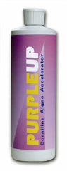 Carib Sea Purple Up Coralline Algae Acel 16oz
