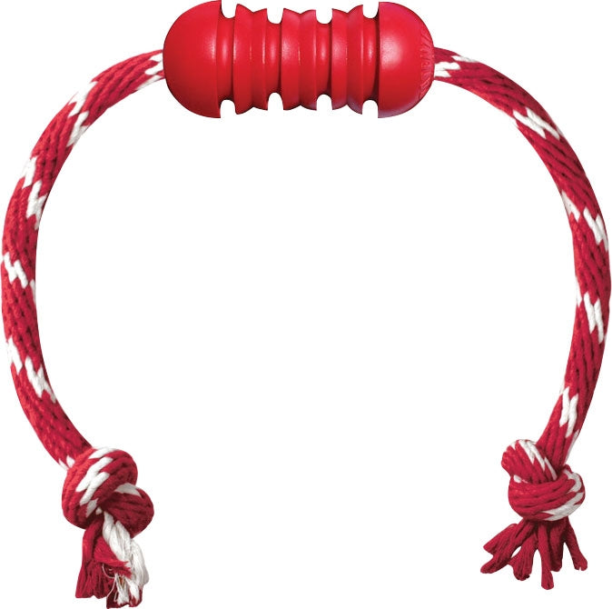 KONG Dental Chew with Rope For Dogs