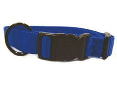 Hamilton Adjustable Dog Collar