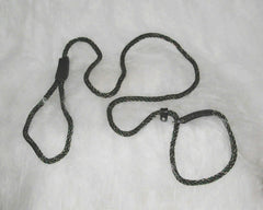 Polyrope Dog Quick Lead Combo 5/16 X6 Green/Tan