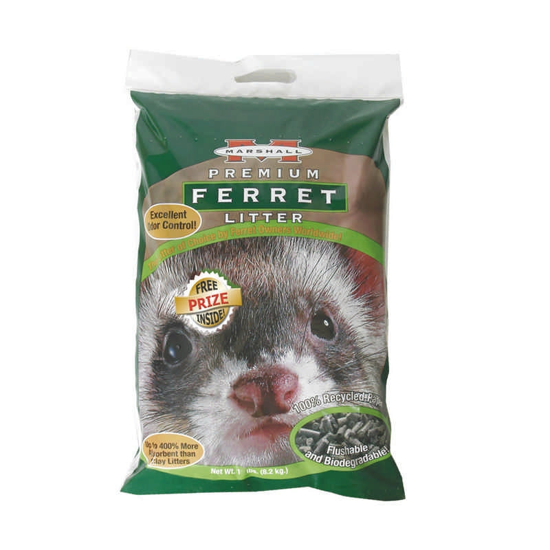 Marshall Ferret Litter