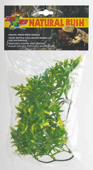 Plant Bolivian Croton Small Green