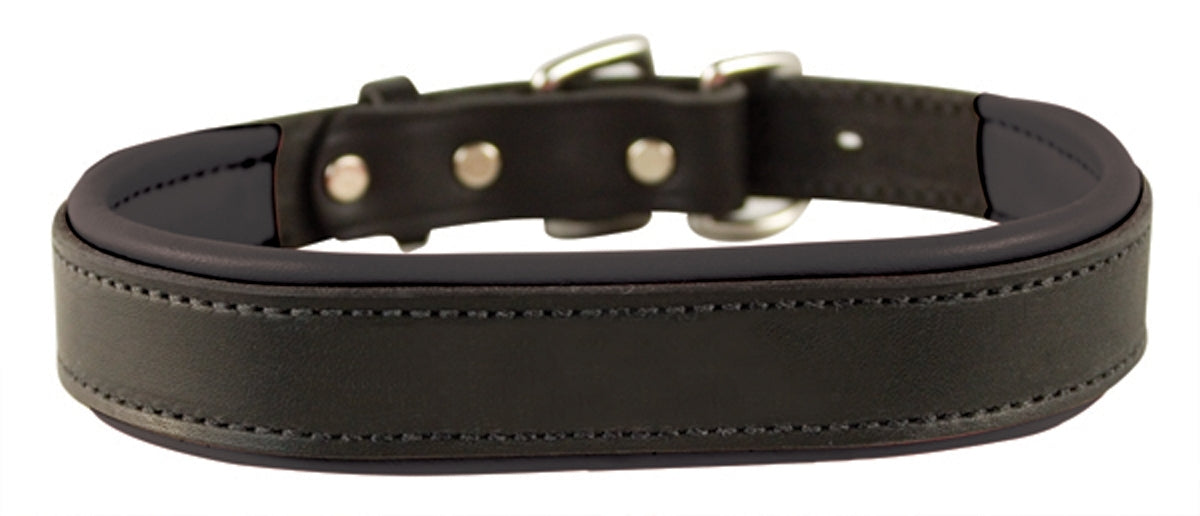 Padded Leather Dog Collar-Seconds Offer XS Blk