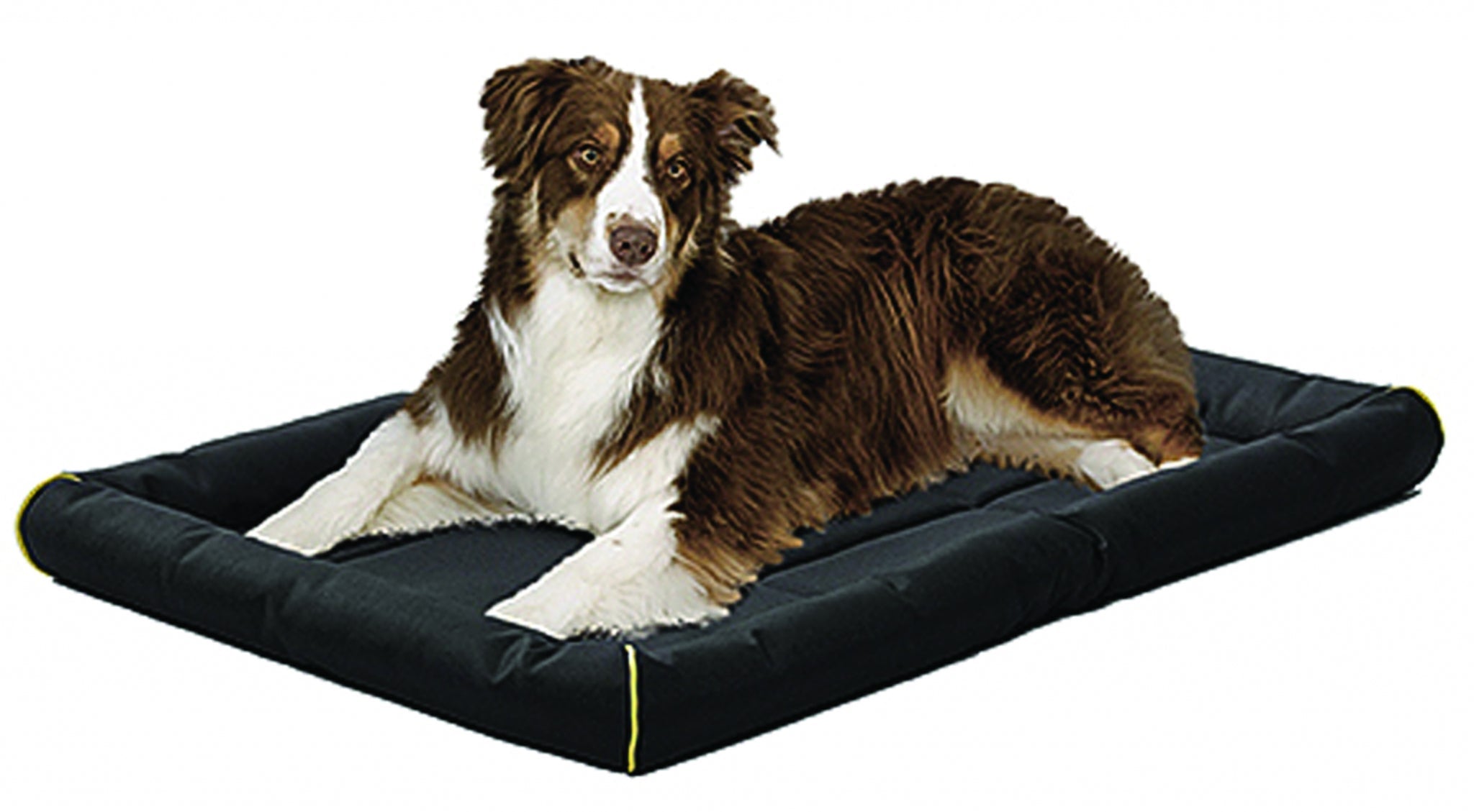 Midwest Quiet Time Maxx Ultra-Rugged Pet Bed