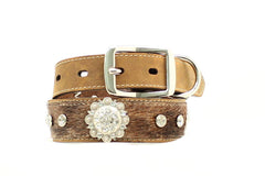 Blazin Roxx Hair on Concho Dog Collar