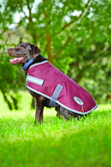 Weatherbeeta Parka 1200D Dog Coat