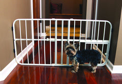 Carlson Pet Lil Tuffy Expandable Gate with Pet Door