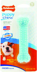 Nylabone Puppy Chew For Teething Puppies - Blue/Chicken