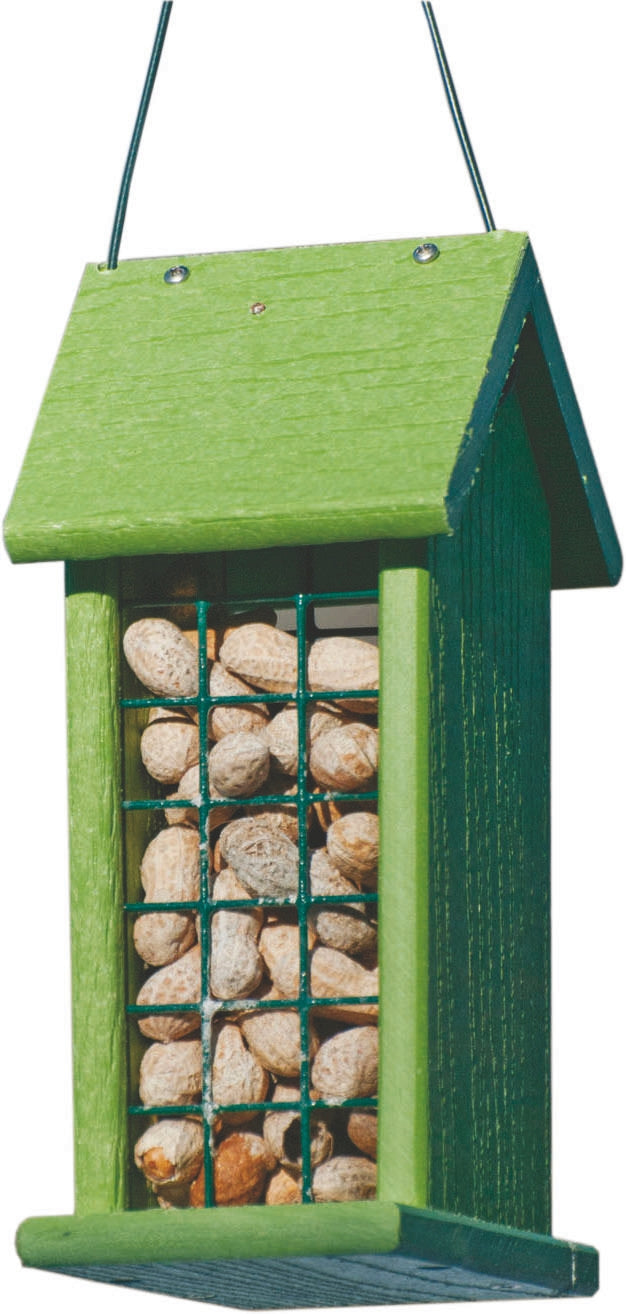 Going Green Full Shell Peanut Feeder .6lb Green