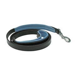 Perri's Padded Leather Dog Leash