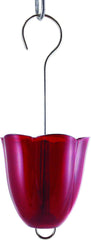 Droll Yankees Ant Moat Hummingbird Feeder Accessory