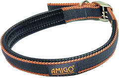 Amigo Dog Collar