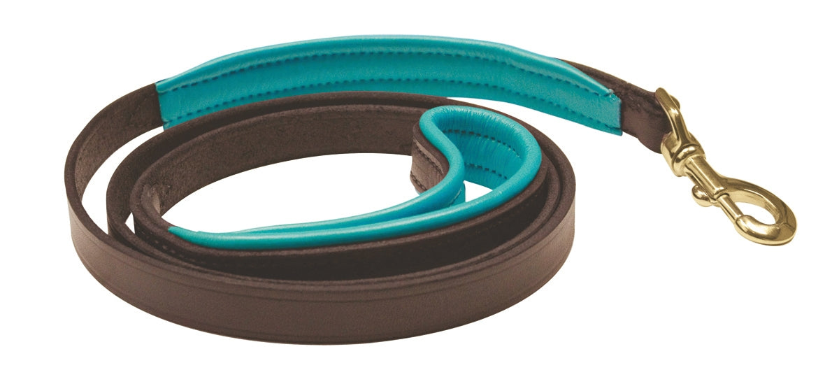 Perri's Padded Leather Dog Leash