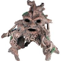 Sunken Tree Of Knowledge #8 Driftwood