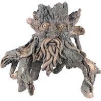 Sunken Tree Of Knowledge 6 Driftwood 13x8x16