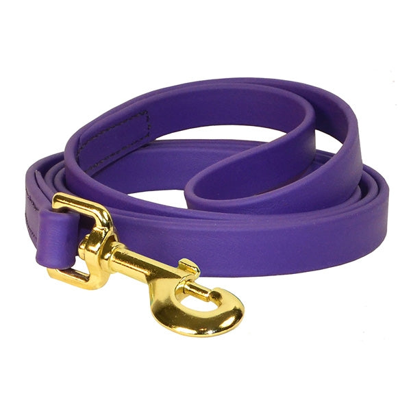 Perris' Beta Dog Leash