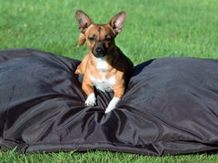 Rambo Pillow Dog Bed