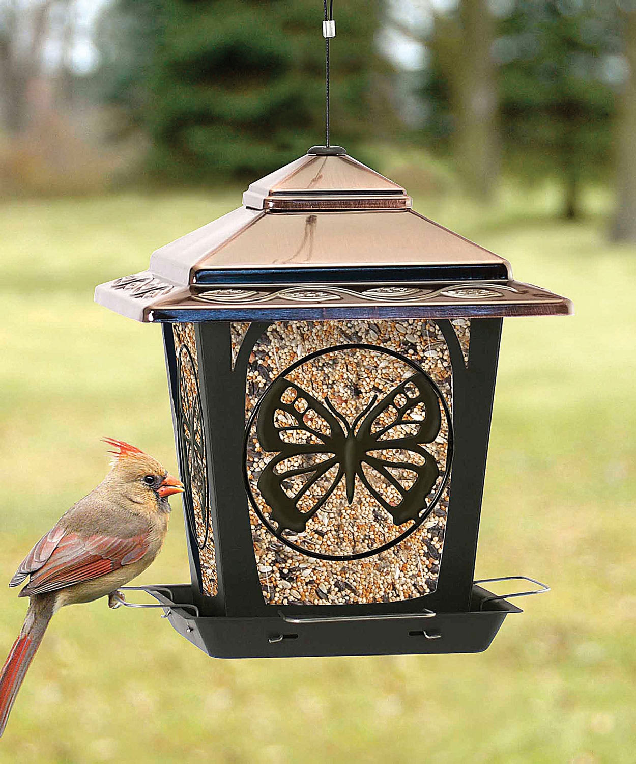 Audubon Hopper Style Bird Feeder Buttefly Design