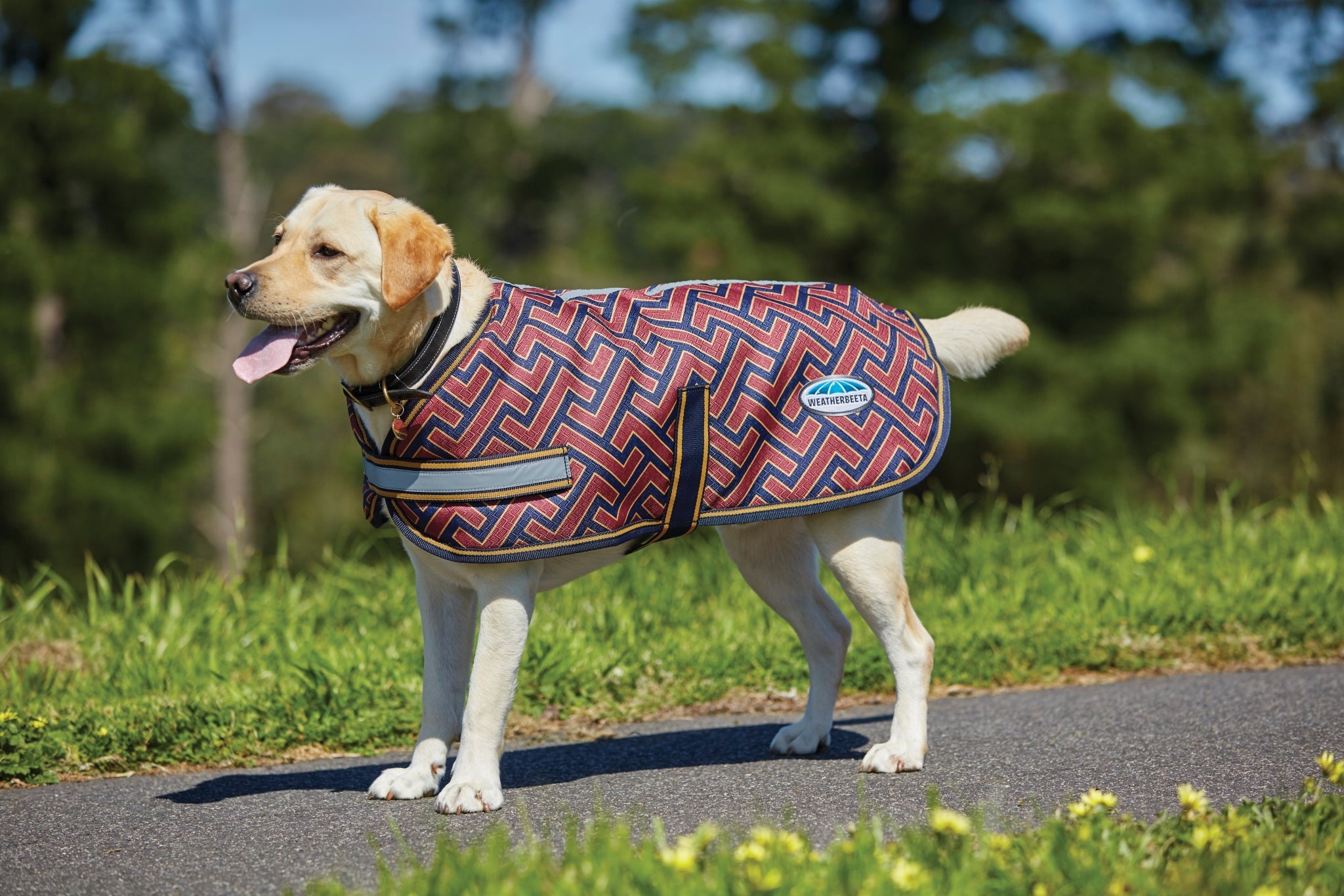 Weatherbeeta Parka 1200D Dog Coat - Criss Cross Print