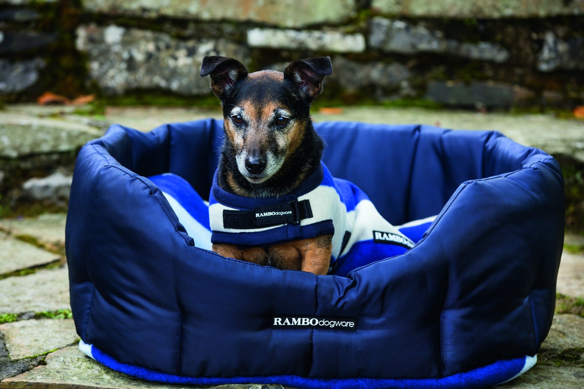 Rambo Dog Bed