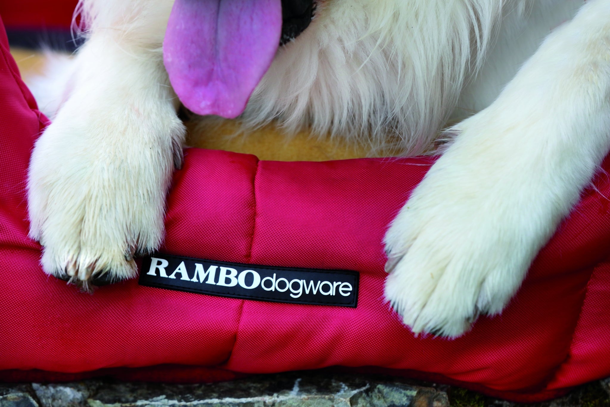 Rambo Dog Bed