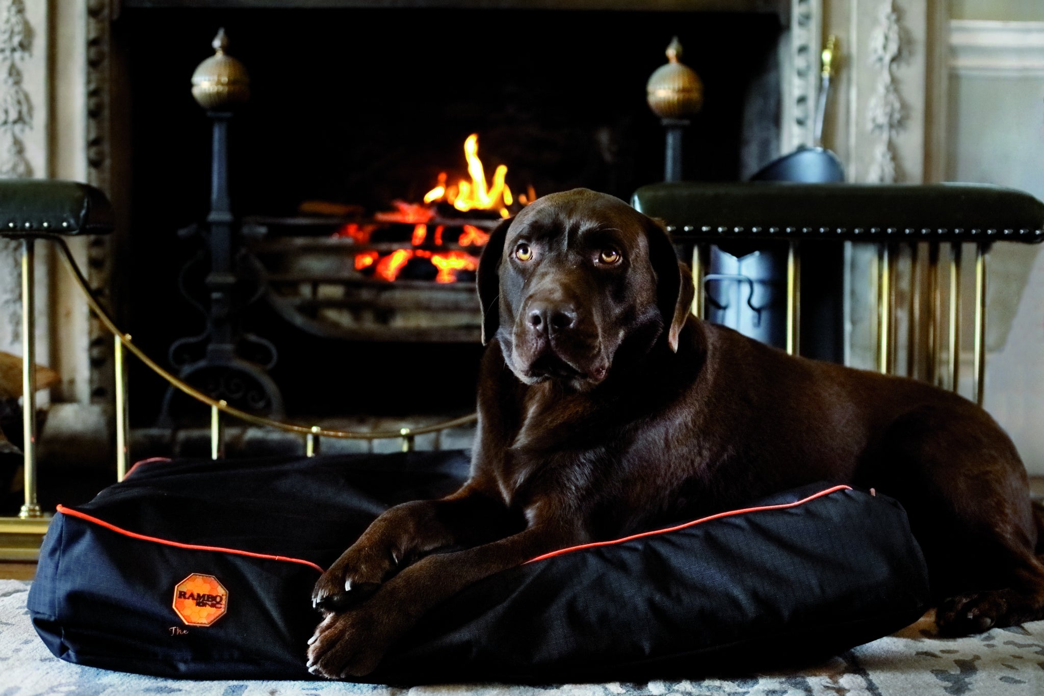 Rambo Ionic Dog Bed