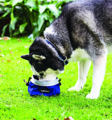 Rambo Dog Feed Bowl