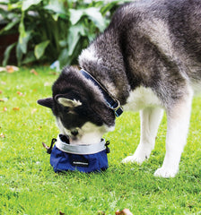 Rambo Dog Feed Bowl