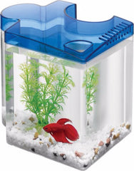 Betta Puzzle Kit