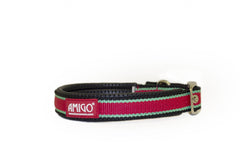 Amigo Dog Collar