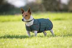 Shires Digby & Fox Quilted Dog Coat
