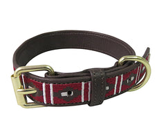 Halo Kelly Leather Dog Collar