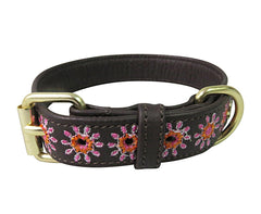 Halo Ava Leather Dog Collar