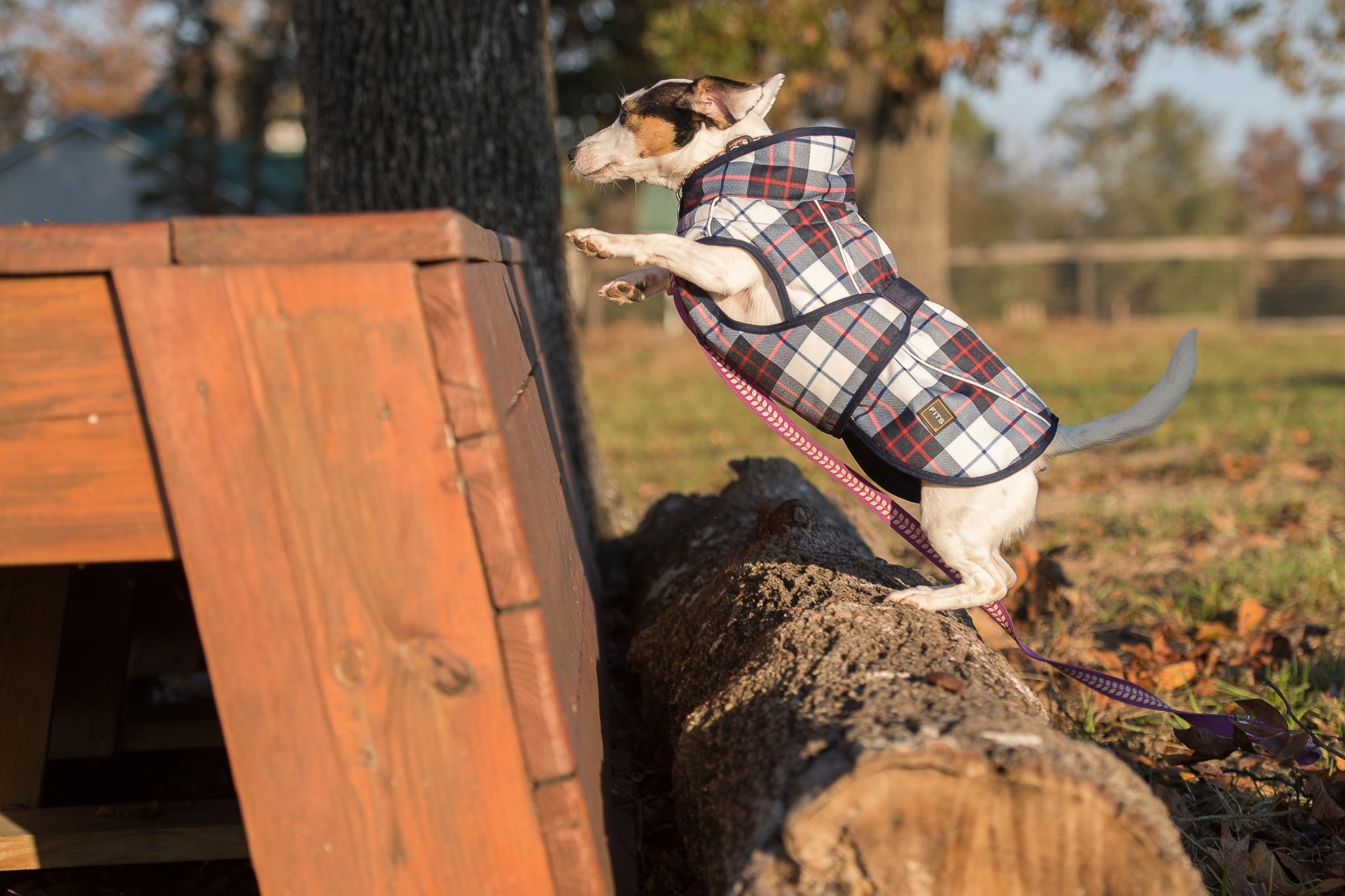 FITS Dog Coat - Navy/Red Plaid