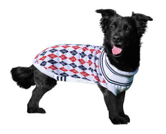 Halo Buffy Knitted Dog Sweater