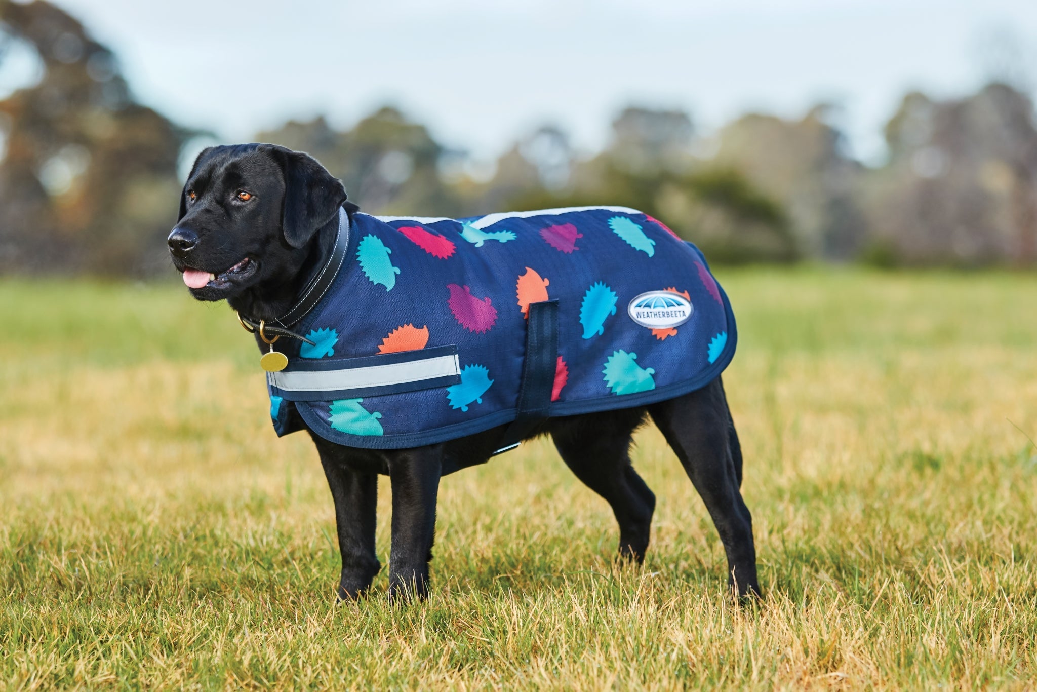 Weatherbeeta Parka 1200D Dog Coat - Hedgehog Print