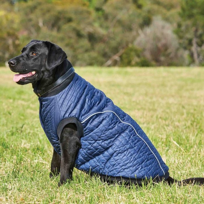 Weatherbeeta ComFiTec Puffer Dog Coat