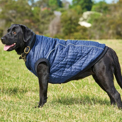 Weatherbeeta ComFiTec Puffer Dog Coat