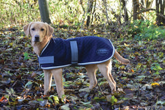 Weatherbeeta Thermic Dog Coat