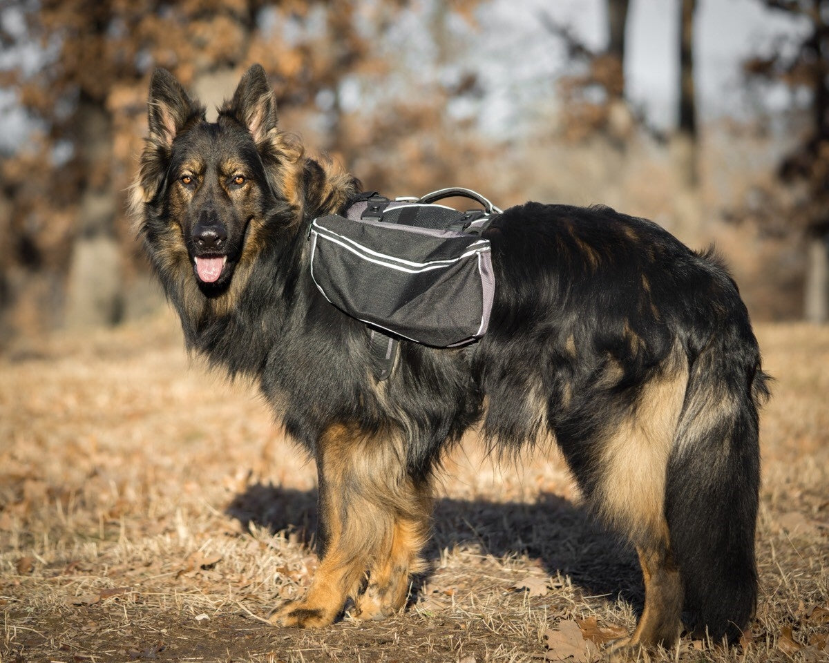 Weaver Terrain D.O.G. Adventure Pack