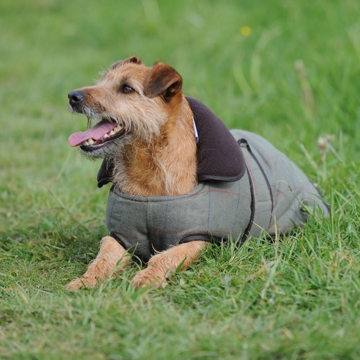 Weatherbeeta ComFiTec Tweed Dog Coat II