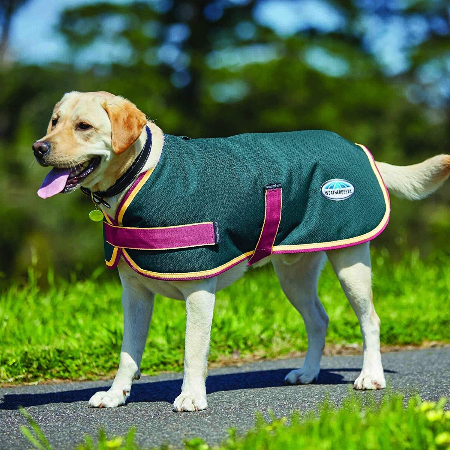 Weatherbeeta Parka 1200D Dog Coat