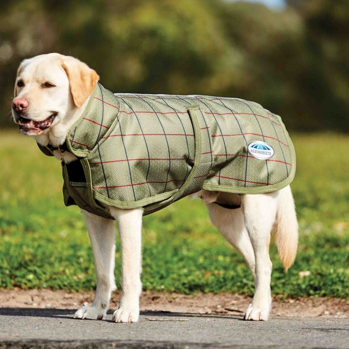 Weatherbeeta Parka 1200D Deluxe Dog Coat